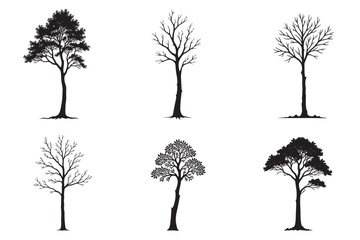 Obraz premium Tree Silhouette Vector Collection