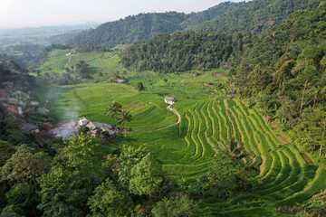 High angel view of Terasering Cisalada Rice Field in Purwabakti, Bogor, Indonesia. Paddy field, holiday, nature, tourist destination.