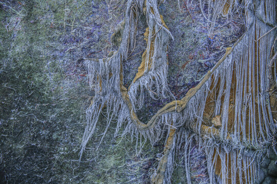 더러움,벽,천,실,밧줄,이끼,마장동벽화마을,마장동,성동구,서울