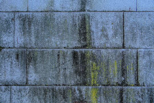 돌담,사각형,화강암,벽,흔적,이끼,종묘,훈정동,종로구,서울