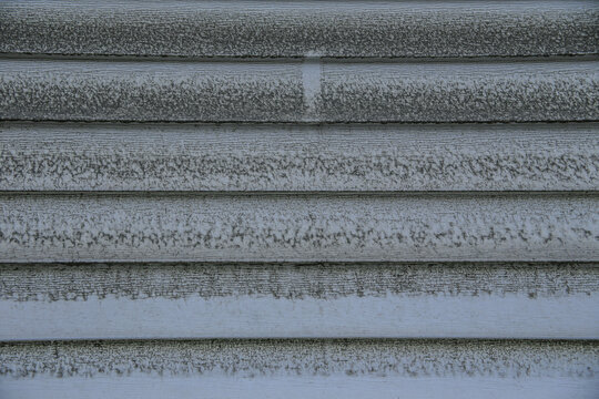 나무,목재,벽,이끼,종묘,훈정동,종로구,서울