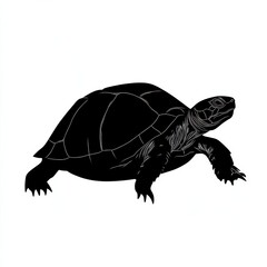Fototapeta premium Silhouette of a turtle, black and white