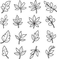 Fototapeta premium Set Pack of Flat Leaf Leaves element Plant Tropical Botanical illustration
