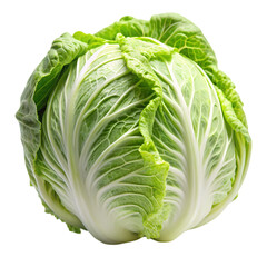 Fototapeta premium Fresh Green Napa Cabbage Vegetable Healthy Food Isolated Raw Leaf Diet Shot Farm Salad Crisp White 