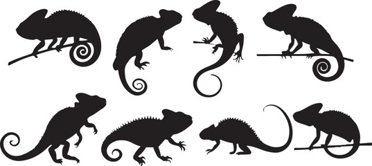 chameleon silhouettes