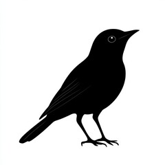 Obraz premium Silhouette of a small black bird.