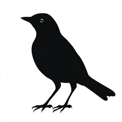 Obraz premium Elegant black bird silhouette