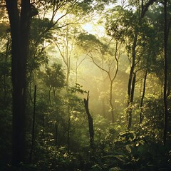 Obraz premium tranquil sunlit forest clearing with green nature and trees