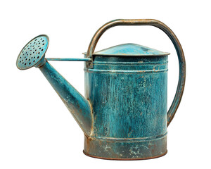 vintage blue watering can with rusted finish, perfect for gardening. Its unique design adds charm to any outdoor space, making it delightful accessory for plant lovers