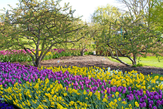 Fr&uuml;hlingsgartenlandschaft
