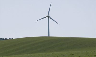 wind turbine in the field