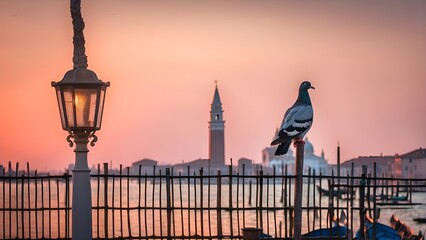 pigeon perched on a streetlight pole in Venice, with the soft glow of streetlights creating a warm atmosphere