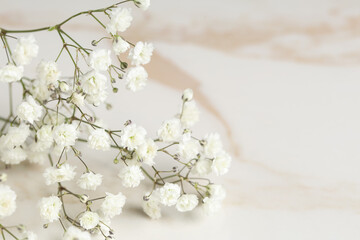 Beautiful gypsophila flowers on marble background, closeup