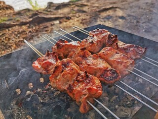 Grilling skewered meat over an open flame at a picturesque riverside during a sunny afternoon