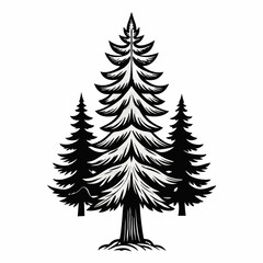 Obraz premium Illustrative Evergreens Detailed Pine Tree Silhouette Design