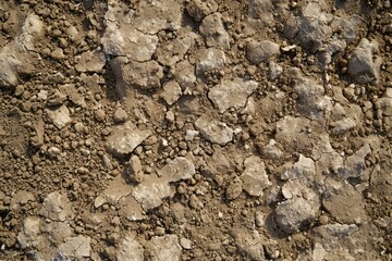 Photo of Brown soil dirt surface. Background texture for backdrops or mapping