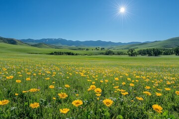 Obraz premium Bright yellow wildflowers bloom in a sunlit meadow against a backdrop of mountains during midday