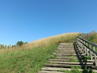 Salduve hill during sunny day. Small hill. Grass is growing on hill. Staircase leading to the top....