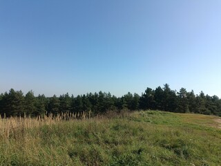 Salduve hill during sunny day. Small hill. Grass is growing on hill. Staircase leading to the top....