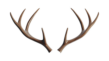 Deer Antlers Isolated on Transparent Background