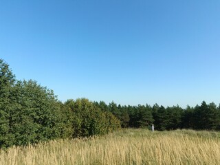 Salduve hill during sunny day. Small hill. Grass is growing on hill. Staircase leading to the top....