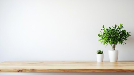 Minimalist wooden shelf with potted plants against a white wall.