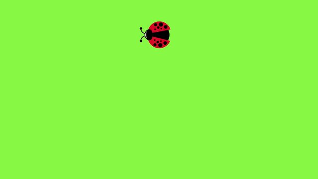 Cartoon ladybug with big eyes and black spots on red wings, it goes isolated on green screen