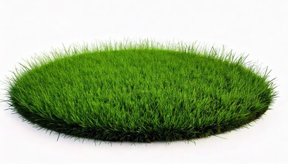 Round surface patch covered with green grass isolated on white background. Realistic natural element for design. Bright 3d illustration.
