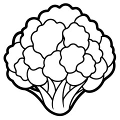 Cauliflower Line Art Vector