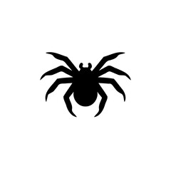 Black Silhouette of a Spider