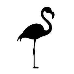 Flamingo Silhouette on White