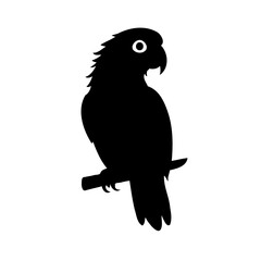 Parrot Silhouette Black Illustration