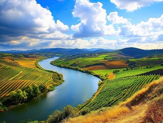 River valley vineyard landscape, sunny day, agriculture, travel, scenic view