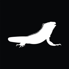 lguana vector animal illustration black background