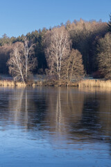 Winter an einem See mit Wald im Hintergrund