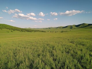 Obraz premium Lush green steppe under blue sky, Mongolia; pastoral scene