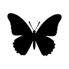 Elegant Butterfly Silhouette Design