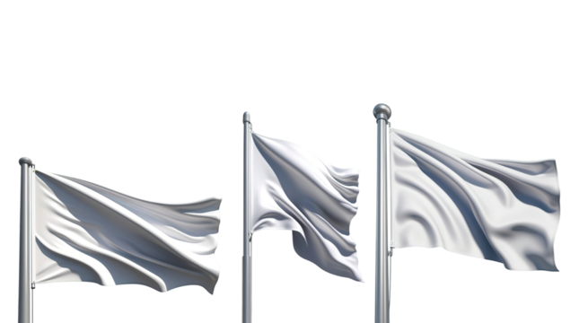 white flag (png)