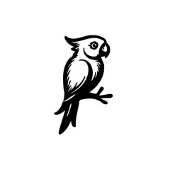 Elegant Black Parrot Design