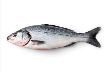 Naklejka premium Raw sea bass fillet, isolated on white background.