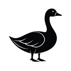 duck isolated on white vector illustration