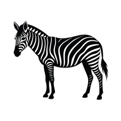 zebra isolated on white vector illustration