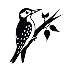 A bird on branch vector illustration