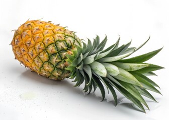 Fototapeta premium pineapple on white background