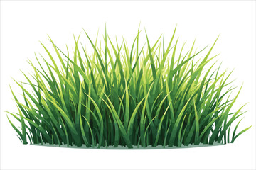 Grass Vector Clipart Bundle for Designs
