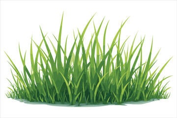 Grass Vector Clipart Bundle for Designs
