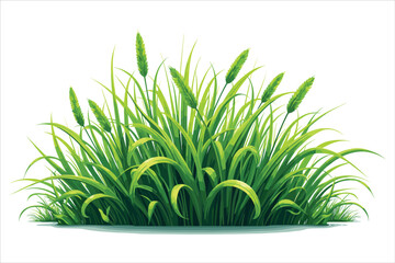 Grass Vector Clipart Bundle for Designs
