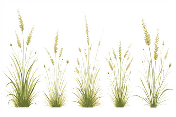 Grass Vector Clipart Bundle for Designs

