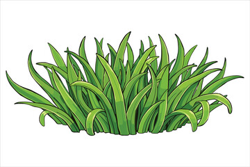 Grass Vector Clipart Bundle for Designs
