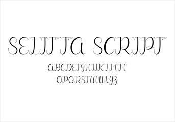 Selitta Script font for logo and headline. Isolated vector typeset